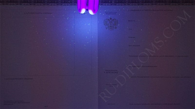 Диплом магистра 2014-2026 НОВОГО ОБРАЗЦА Киржач